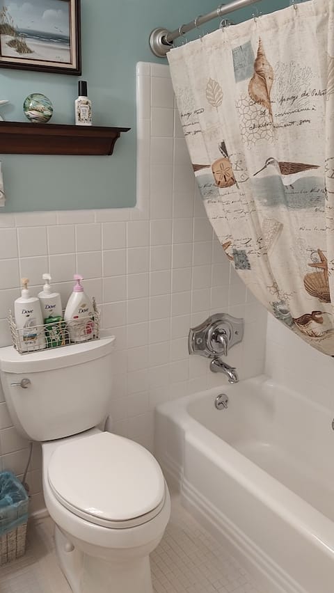 Hall bathroom.