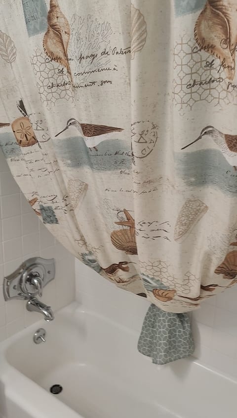 Hall bathroom.