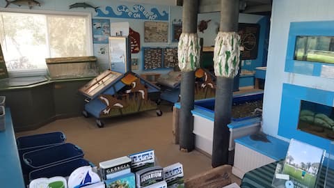 4-H Tidelands Nature Center 100 S Riverview Dr. $5.00 admission, So fun for the whole family.