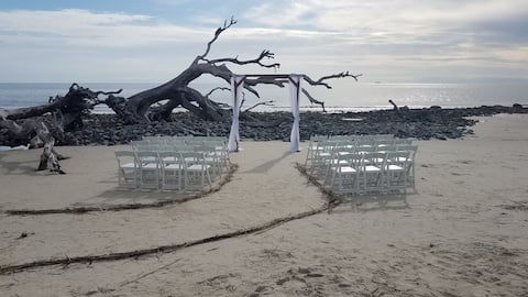 Getting ready for a wedding on Driftwood Beach.