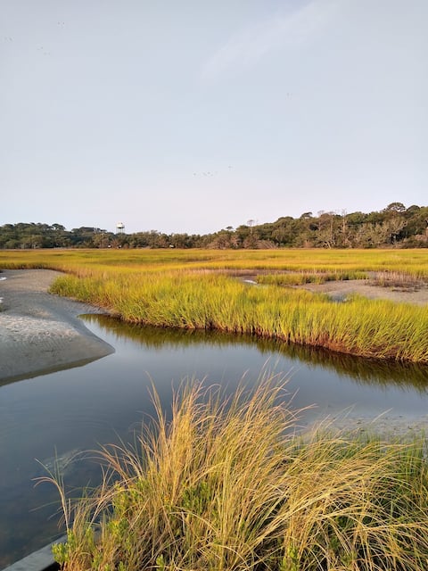 Driftwood Beach has a beautiful bike/walking path ( the last entrance with wood fence, past Villas by the Sea)  leads you on stunning marsh views to Clam Creek.