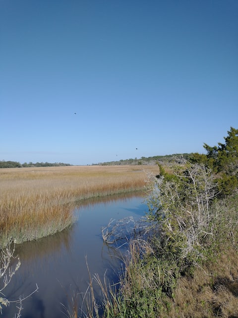Listing image 103